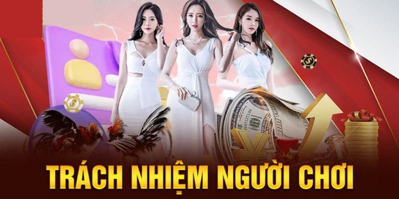 Hội viên có quyền lợi và nghĩa vụ gì khi tham gia Fun88?