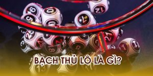 Bạch Thủ Lô Là Gì? Tìm Hiểu Chi Tiết A-Z Với Fun88