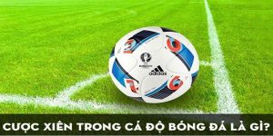 Cược Xiên Là Gì? Bí Quyết Bắt Kèo Dễ Thắng Từ Cao Nhân 2025