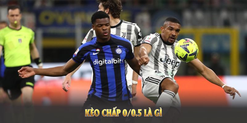 Kèo Chấp 0/0.5 Là Gì Tại Fun88 Và Những Thông Tin Hữu Ích